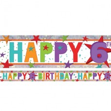 Age 6 birthday banner