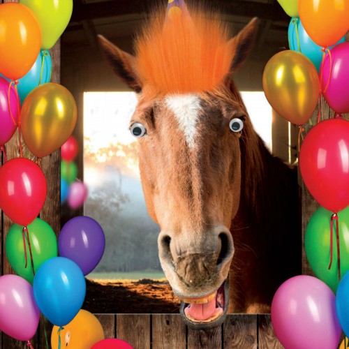 Horse greeting card with fluff, and googly eye embellishments. Horse greeting card with fluff, and googly eye embellishments.