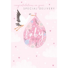 Special delivery Baby girl card
