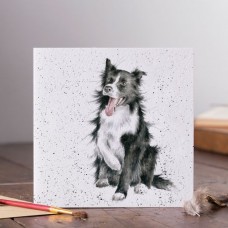 Shadow' card, from Wrendale Designs